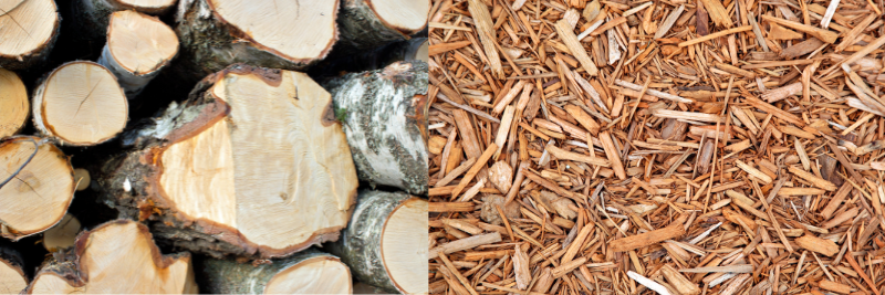 Wood and wood chippings