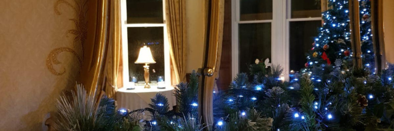 Christmas tree and lamp in window