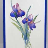 irises by Jeanette Fenwick Art Class