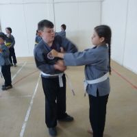 martial arts move
